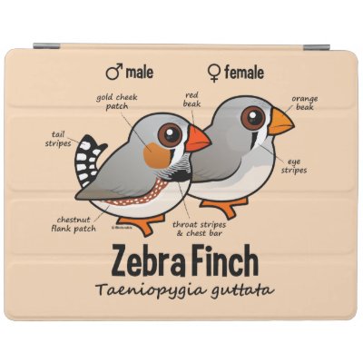 Zebra Finch Statistics iPad Smart Cover