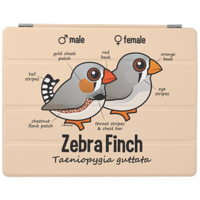 Zebra Finch Statistics iPad Smart Cover (Horizontal)