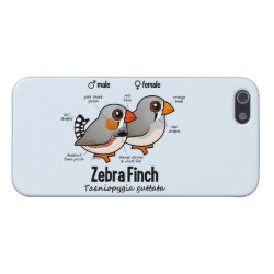 Zebra Finch Statistics Case Savvy iPhone 5 Matte Finish Case