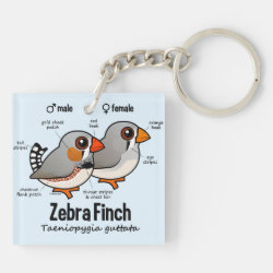 Zebra Finch Statistics Square Keychain (double-sided)