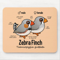 Zebra Finch Statistics Mousepad