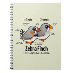 Zebra Finch Statistics Photo Notebook (6.5