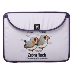 Zebra Finch Statistics Rickshaw Macbook Pro 15