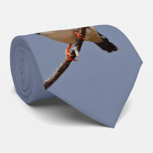 Zebra Finch Tie