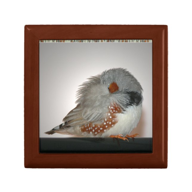 Zebra Finch Trinket Box (Front)