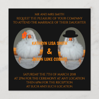 Zebra Finch With Marriage Quote Wedding Invitation