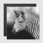 Zebra Foal (Front/Back)