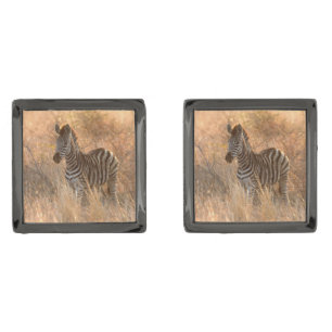 Zebra foal in morning light cufflinks