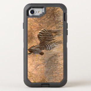 Zebra foal in morning light OtterBox defender iPhone SE/8/7 case