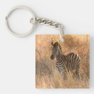 Zebra foal in morning sunrise photo keychain