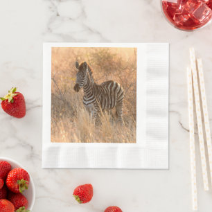 Zebra foal in morning sunrise photo napkins