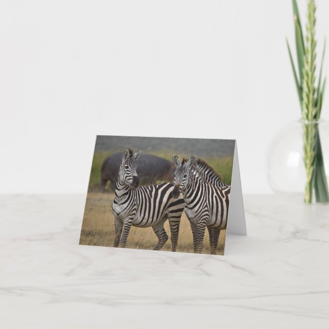 Zebra friendship card (Front)