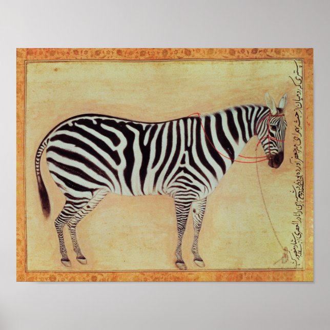 Zebra, from the "Minto Album", Mughal, 1621, Poster (Front)