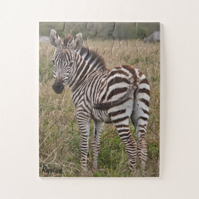 Zebra Glance 30 piece Puzzle (Vertical)