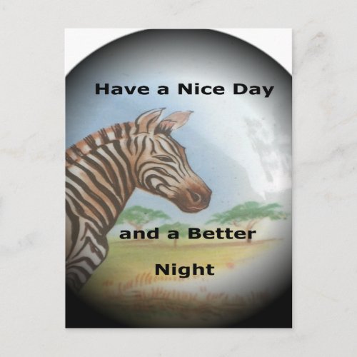 Zebra having  nice day and a better night postcard