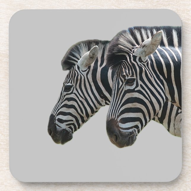 Zebra Heads  Beverage Coaster (Front)