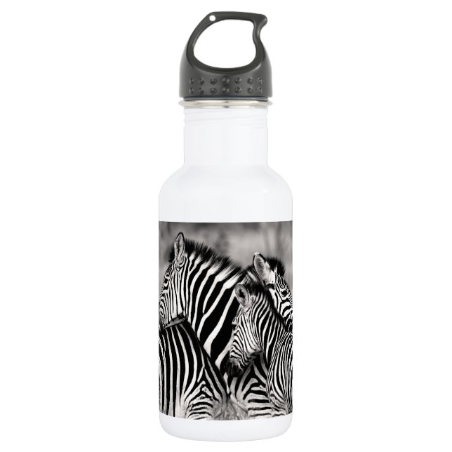 Zebra Herd Nature Safari Black and White Stripes Stainless Steel Water Bottle (Front)