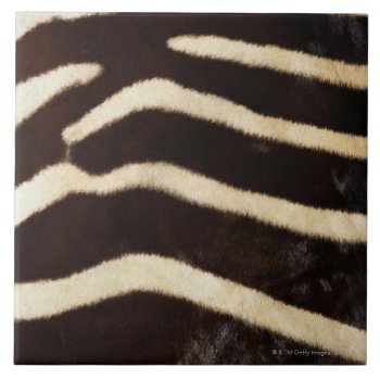 Zebra Hide Ceramic Tile by prophoto at Zazzle