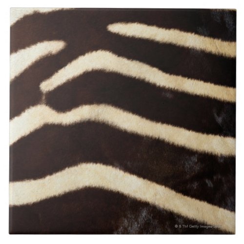 Zebra Hide Ceramic Tile