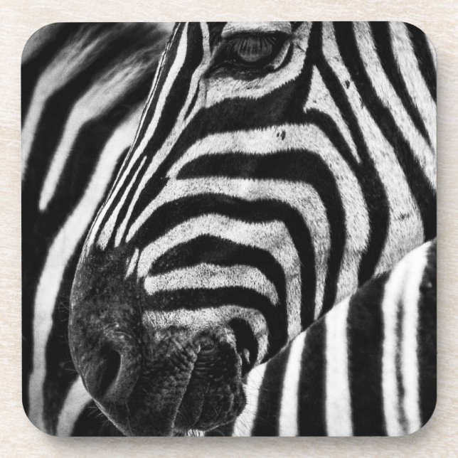 Zebra Illusion Beverage Coaster (Front)