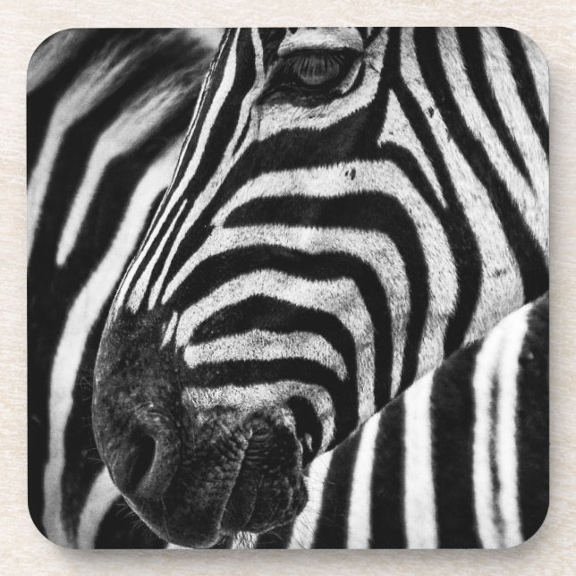 Zebra Illusion Beverage Coaster (Front)
