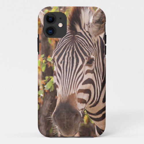 Zebra in a mopani forest iPhone 11 case