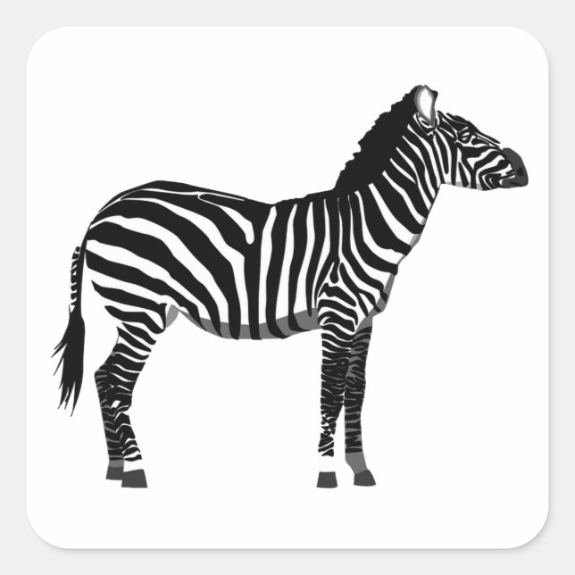 Zebra in Black and White Stripes Square Sticker (Front)