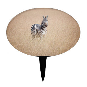 Zebra in high grass cake topper