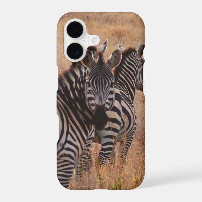 Zebra in Kenya Iphone Case (Back)