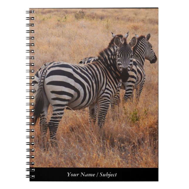 Zebra in Kenya Notebook (Front)