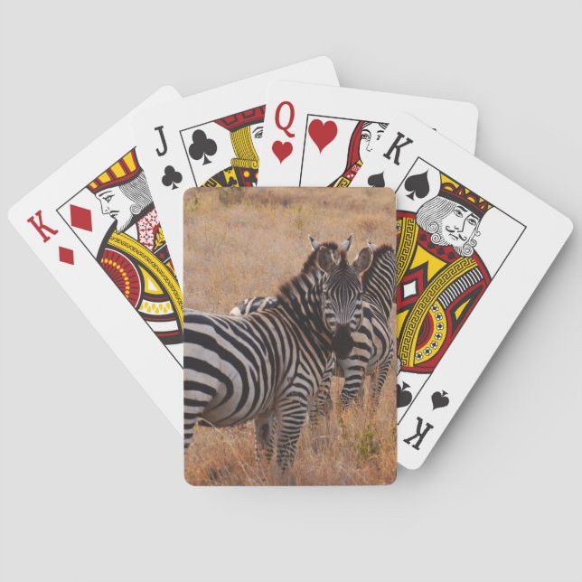 Zebra in Kenya Poker Cards (Back)