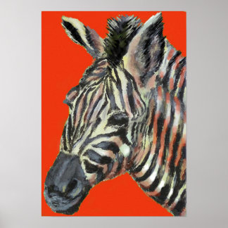 zebra in red -  poster