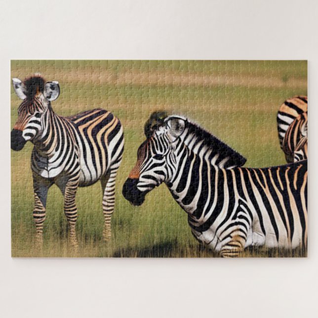 Zebra In The Grass Jigsaw Puzzle (Horizontal)