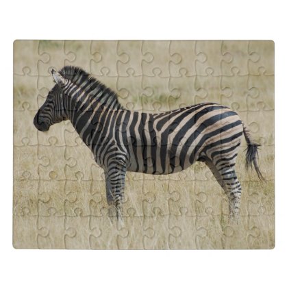 Zebra Jigsaw Puzzle