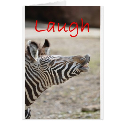 zebra laugh cards (Front)