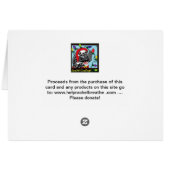 Zebra Lights - HRB Cards (Back Horizontal)