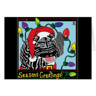 Zebra Lights - HRB Cards