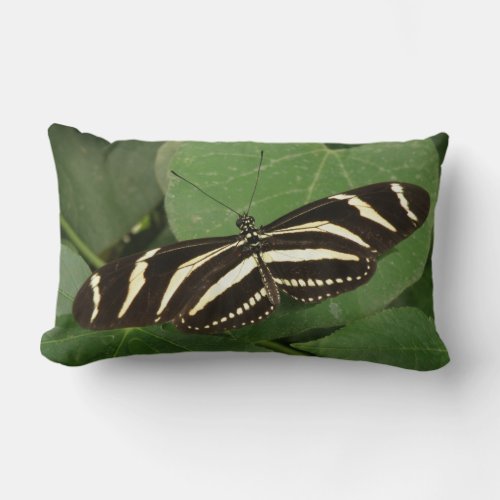 Zebra Lomgwing Butterfly Pillow