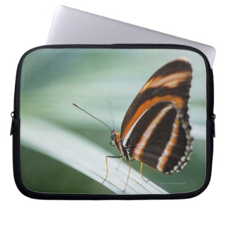 Zebra Long Wing Butterfly Laptop Sleeve