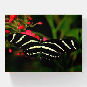 Zebra Long-Wing on flowers Paperweight