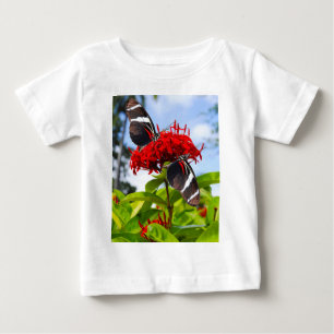 Zebra longwing butterflies on red flowers baby T-Shirt