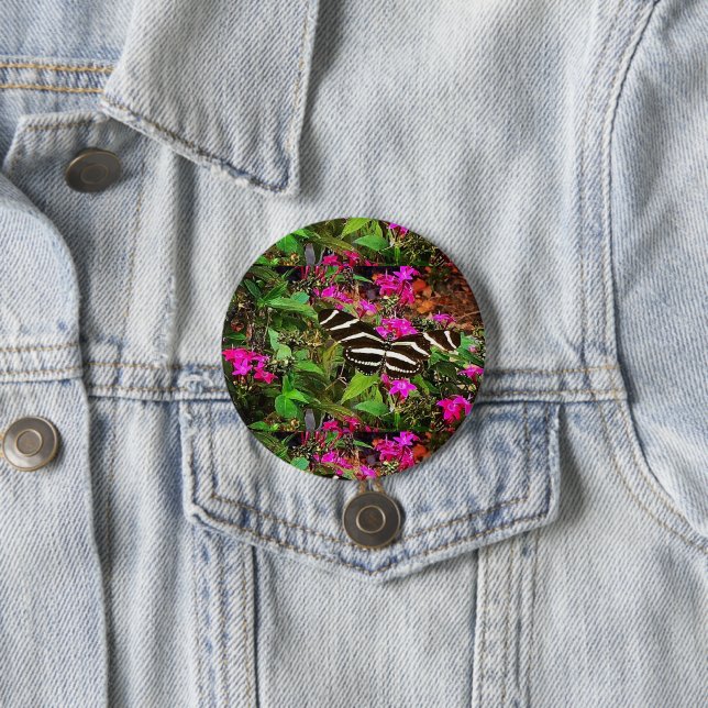 Zebra Longwing Butterfly Button (In Situ)