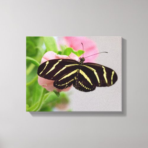 Zebra Longwing Butterfly Canvas Print