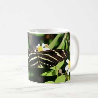 Zebra Longwing Butterfly
