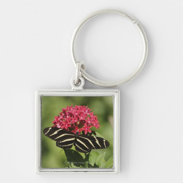 Zebra longwing butterfly, Heliconius Keychain (Front)