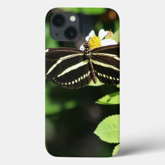Zebra Longwing Butterfly iPhone Cases