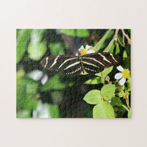 Zebra Longwing Butterfly Jigsaw Puzzle