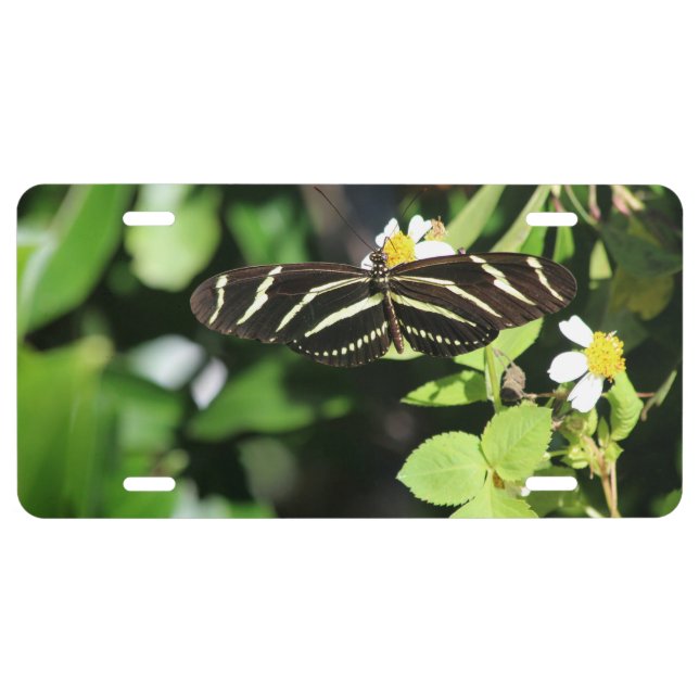Zebra Longwing Butterfly License Plate (Front)