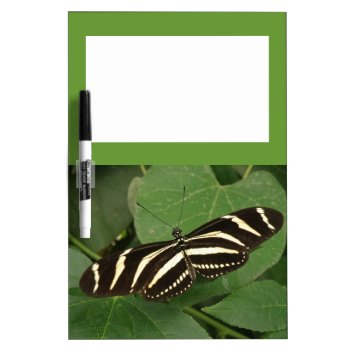 Zebra Longwing Butterfly Memo Board by Fallen_Angel_483 at Zazzle