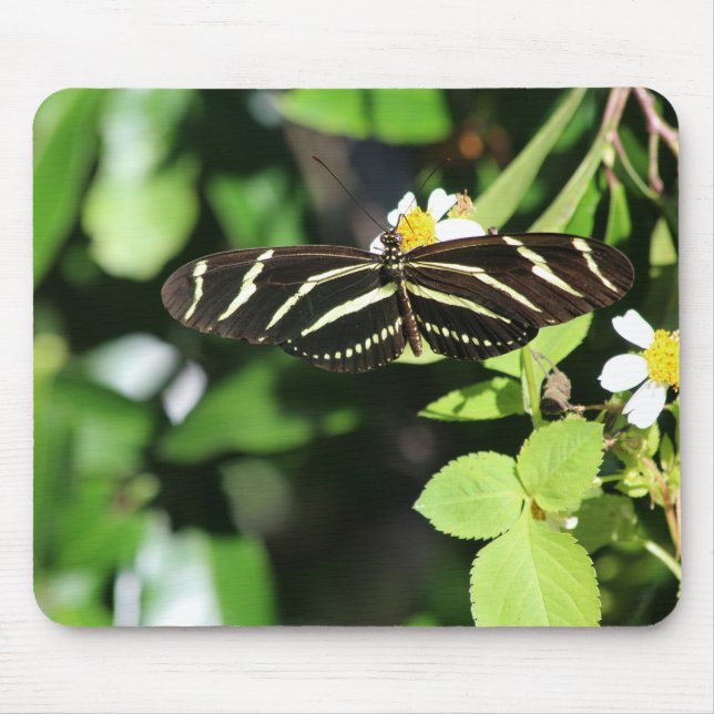 Zebra Longwing Butterfly Mouse Pad (Front)